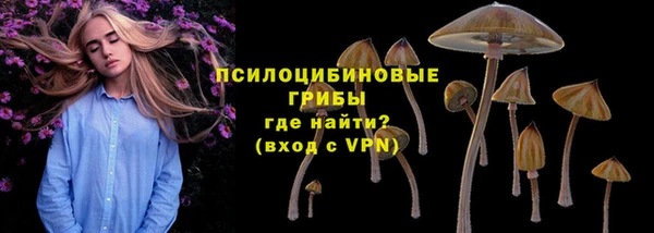 бошки Балахна