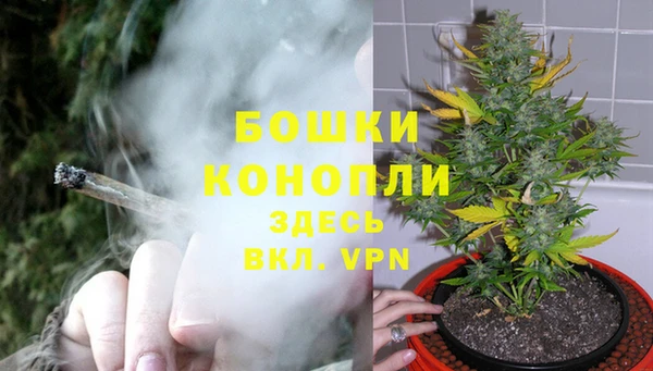 бошки Балахна
