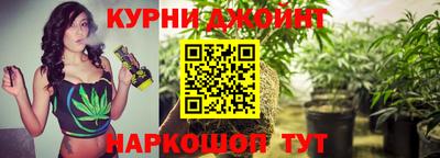 спиды Заводоуковск