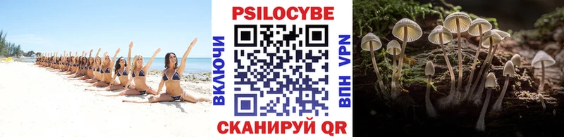 дарнет шоп  Долгопрудный  kraken ТОР  Псилоцибиновые грибы мицелий 