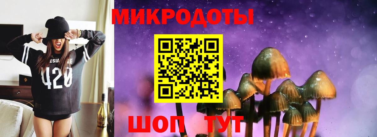 Псилоцибиновые грибы Cubensis Долгопрудный